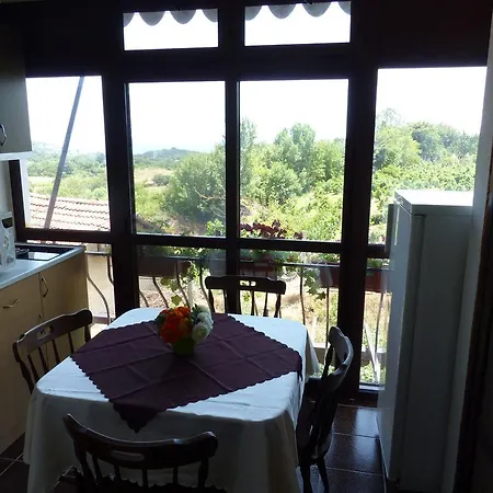 Delphini Guest house Varna