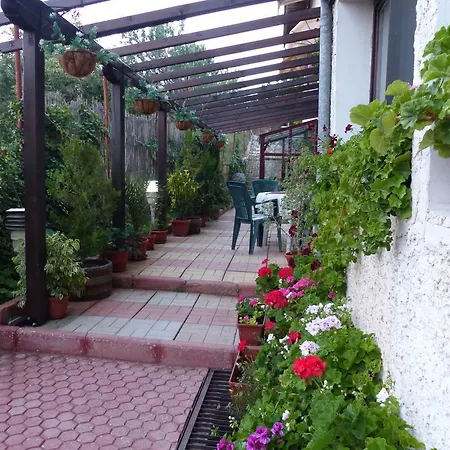 Delphini Varna
