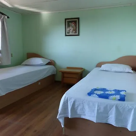Guest house Delphini
